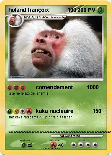 Pokemon holand françoix            100