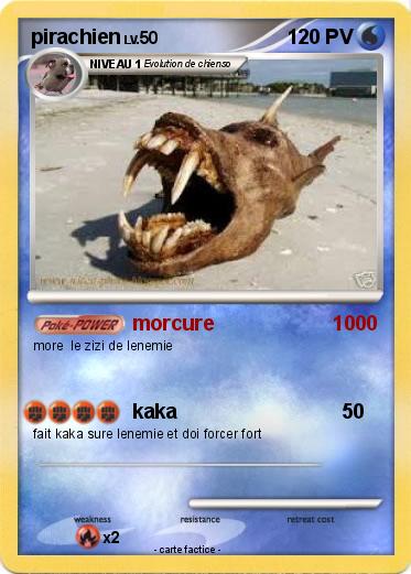 Pokemon pirachien