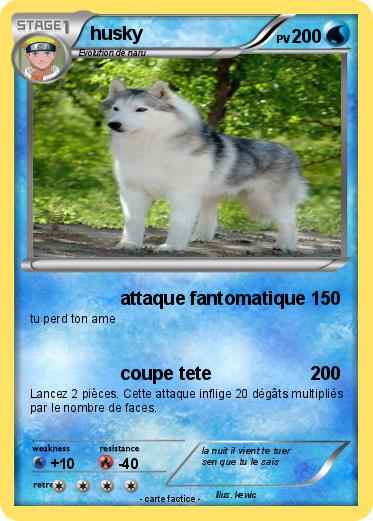 Pokemon husky