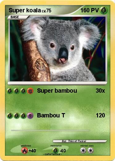 Pokemon Super koala
