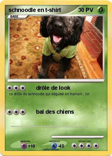 Pokemon schnoodle en t-shirt