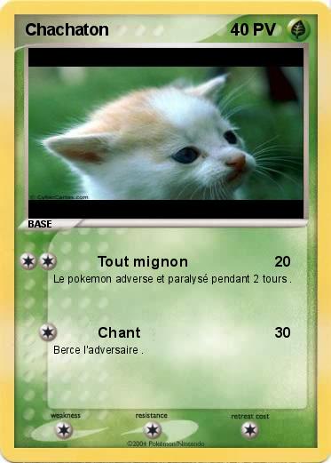 Pokemon Chachaton