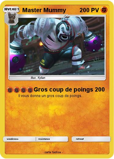 Pokemon Master Mummy