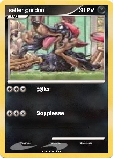 Pokemon setter gordon