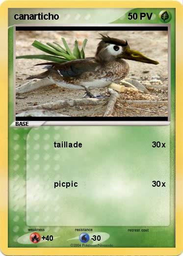 Pokemon canarticho