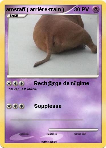 Pokemon amstaff ( arrière-train )