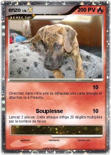 Pokemon enzo