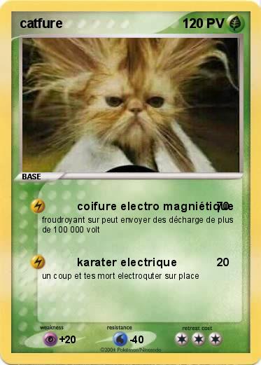 Pokemon catfure