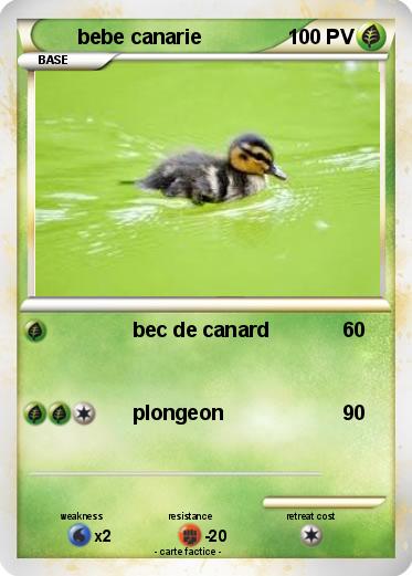 Pokemon bebe canarie