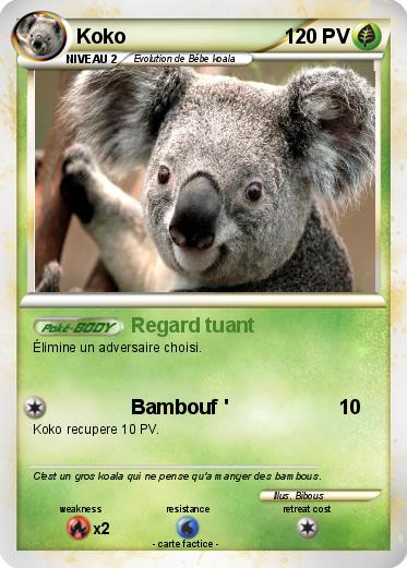 Pokemon Koko