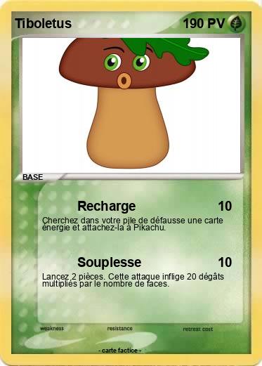 Pokemon Tiboletus