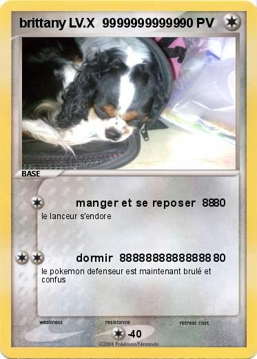 Pokemon brittany LV.X  99999999999