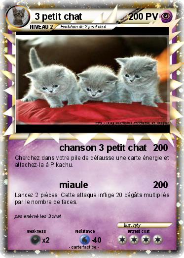 Pokemon 3 petit chat