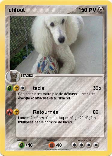 Pokemon chfoot