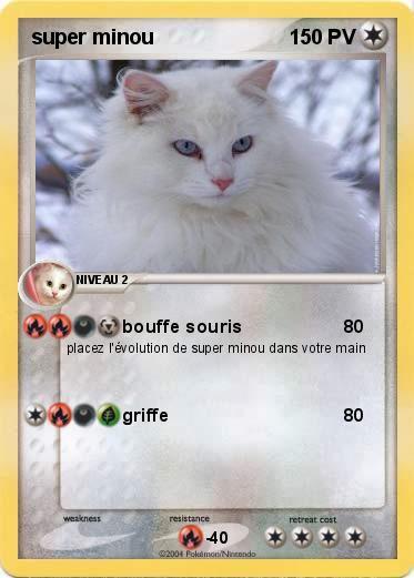 Pokemon super minou