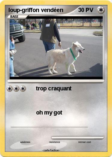 Pokemon loup-griffon vendéen