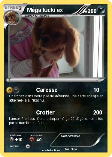 Pokemon Méga lucki ex