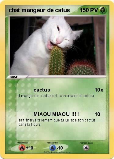 Pokemon chat mangeur de catus