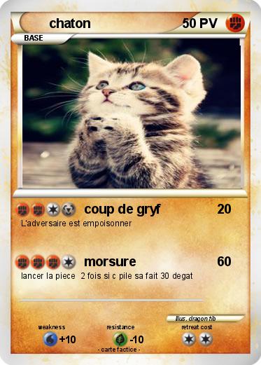 Pokemon chaton