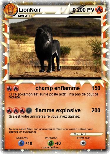 Pokemon LionNoir                     0