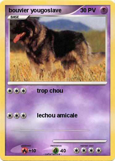 Pokemon bouvier yougoslave