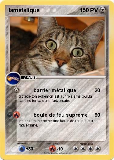 Pokemon lamétalique