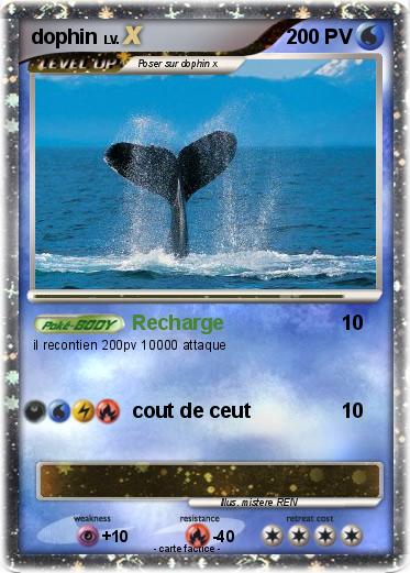 Pokemon dophin