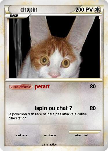 Pokemon chapin