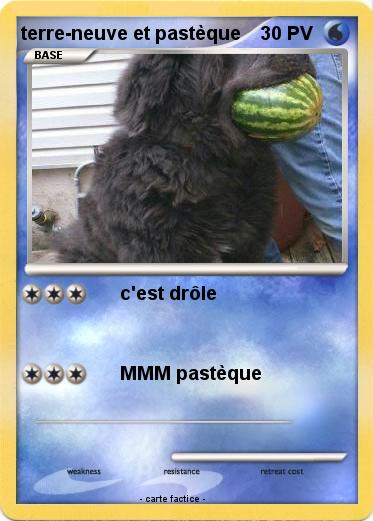 Pokemon terre-neuve et pastèque