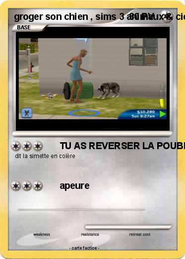 Pokemon groger son chien , sims 3 animaux & cie 3DS