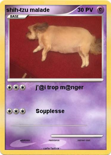 Pokemon shih-tzu malade