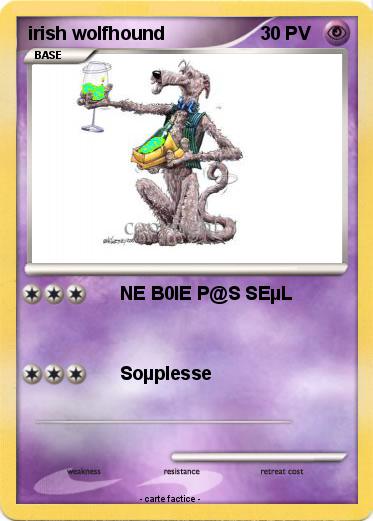 Pokemon irish wolfhound
