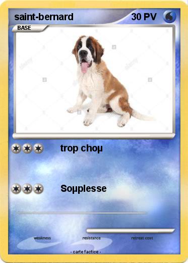 Pokemon saint-bernard