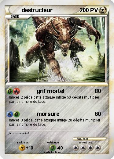 Pokemon destructeur