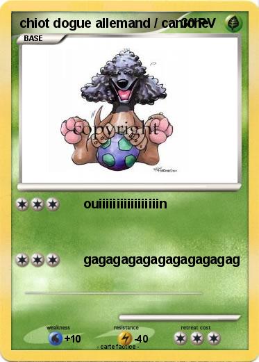 Pokemon chiot dogue allemand / caniche