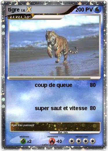 Pokemon tigre