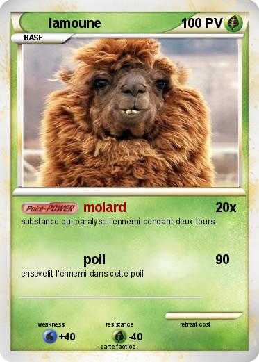 Pokemon lamoune
