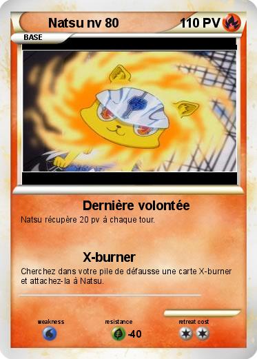 Pokemon Natsu nv 80