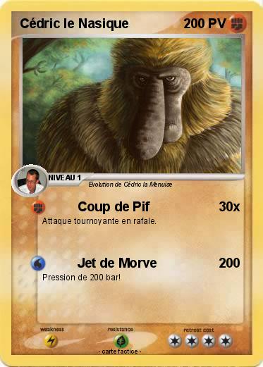Pokemon Cédric le Nasique