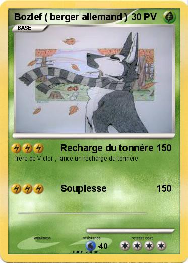 Pokemon Bozlef ( berger allemand )