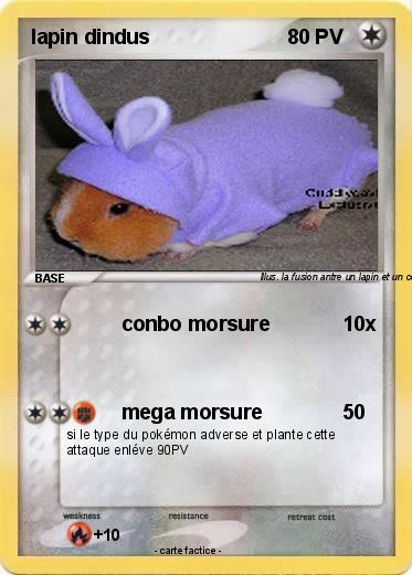 Pokemon lapin dindus