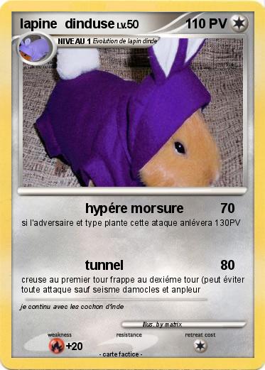 Pokemon lapine  dinduse