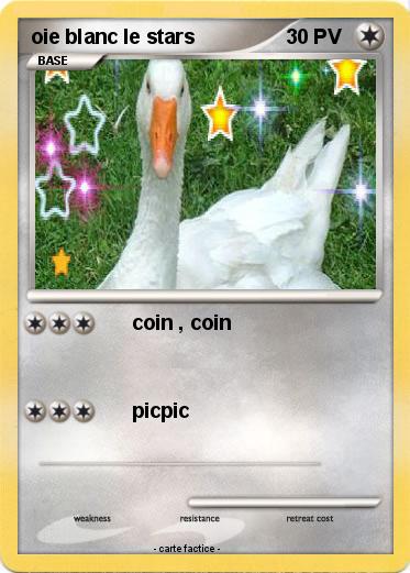 Pokemon oie blanc le stars