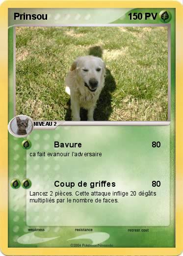 Pokemon Prinsou