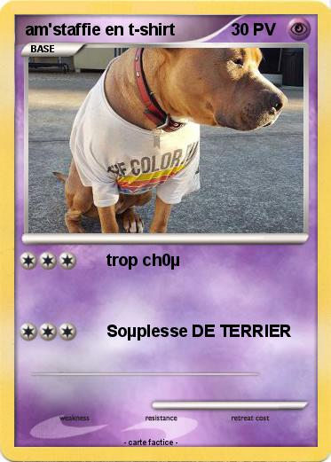 Pokemon am'staffie en t-shirt
