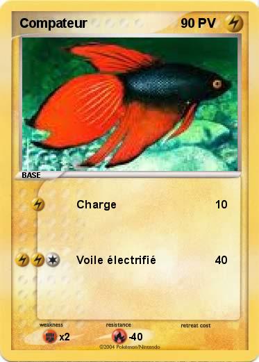 Pokemon Compateur