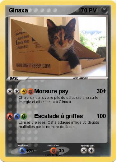 Pokemon Ginaxa
