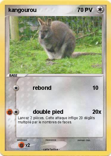 Pokemon kangourou