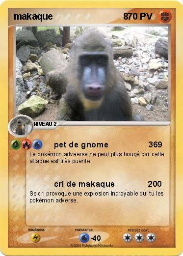 Pokemon makaque                            8                                 