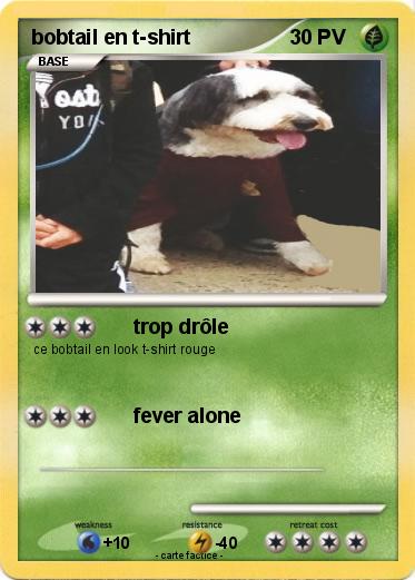 Pokemon bobtail en t-shirt